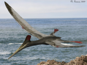 pterodactylus-m.jpg