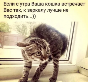 изображение_2022-11-22_193102724.png